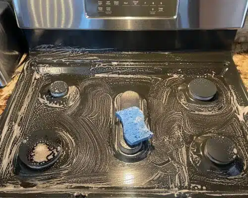 What Does a  Deep Cleaning Actually Include?