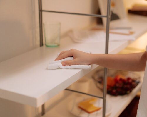 Dust, Mold, and Other Allergens in Your Home: What’s Really Lurking